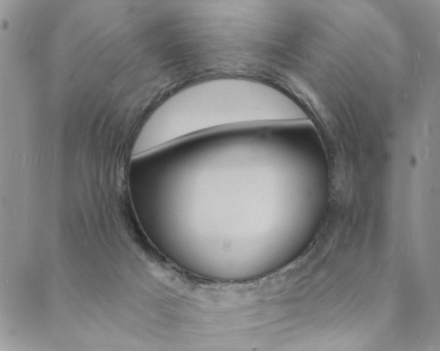 X0000089700025200706210902