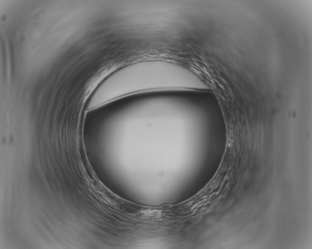 X0000089700052200706210901