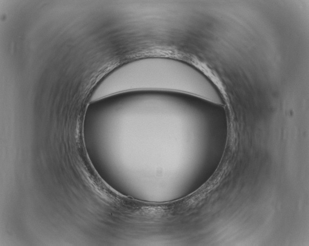 X0000089700057200706210901