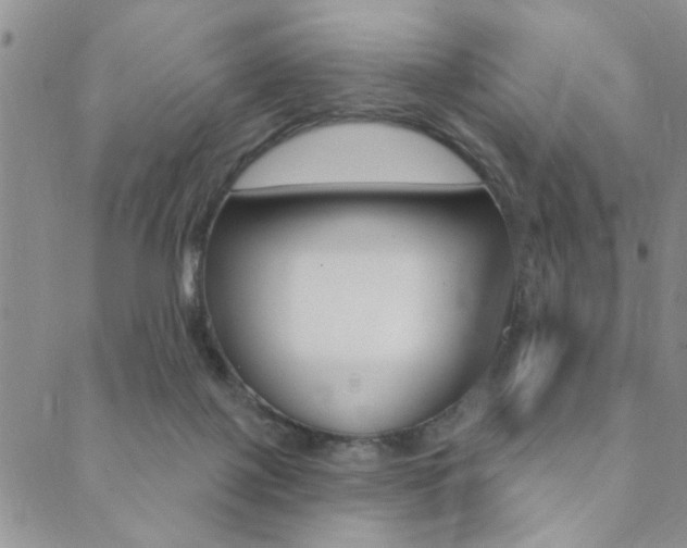 X0000089700075200706210901