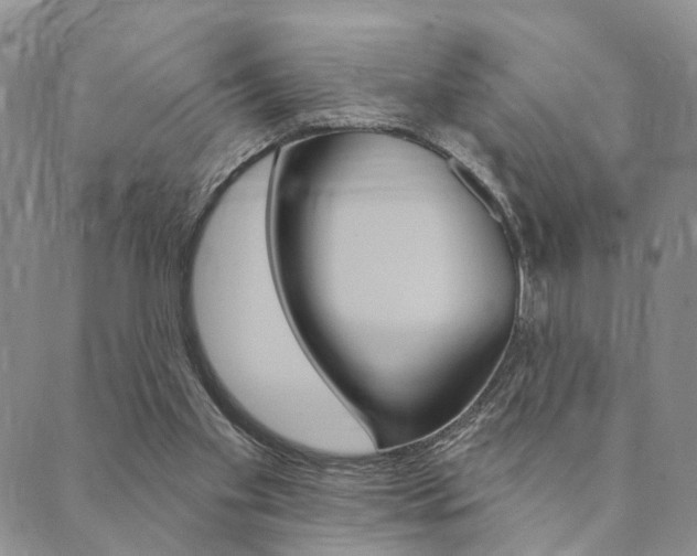 X0000089700109200706210901