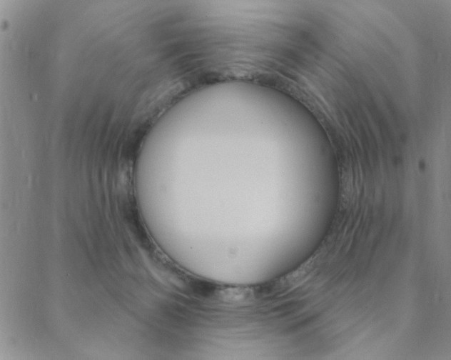 X0000089700126200706210900