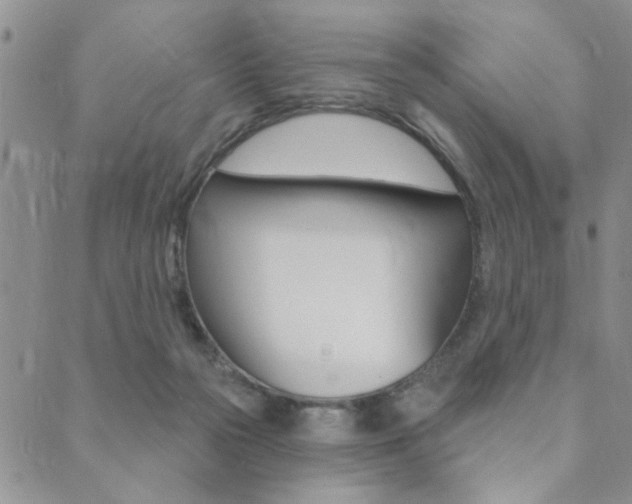 X0000089700169200706210900