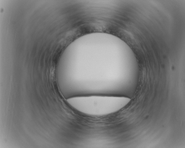 X0000089700177200706210900