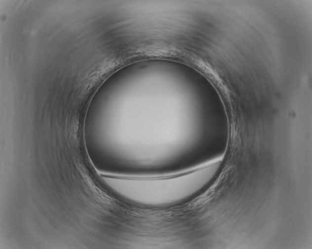 X0000089700201200706210859