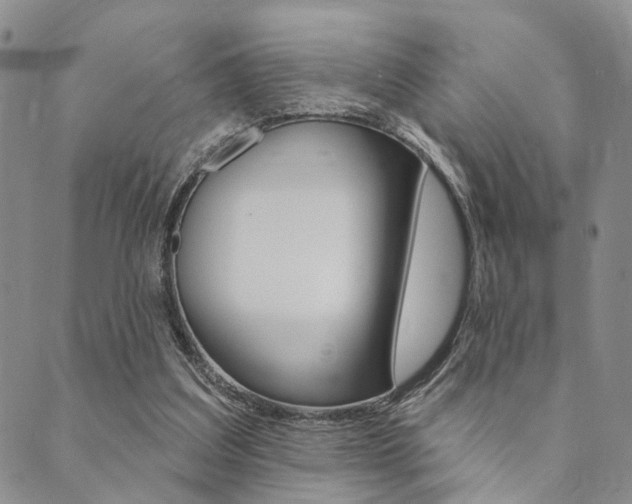 X0000089700203200706210859