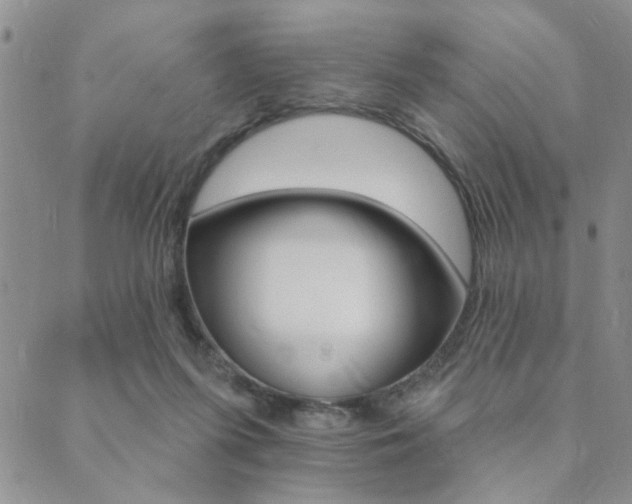 X0000089700215200706210859