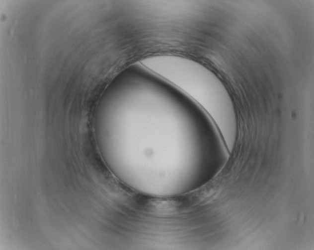 X0000089700221200706210859
