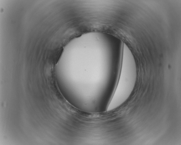 X0000089700225200706210859