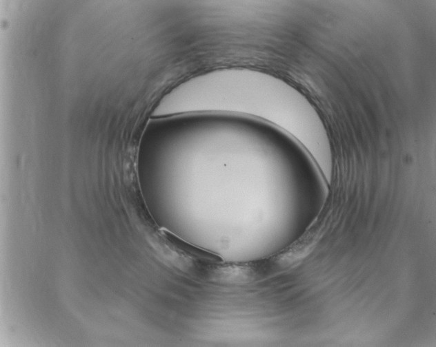 X0000089700237200706210858