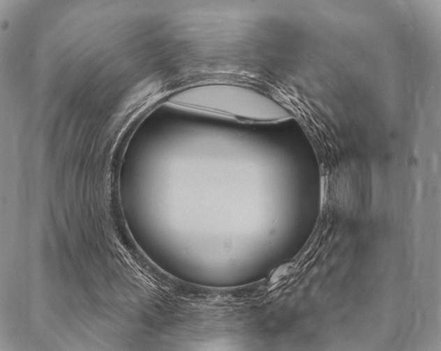 X0000089700243200706210858