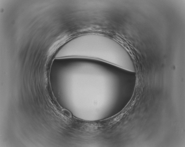 X0000089700245200706210858