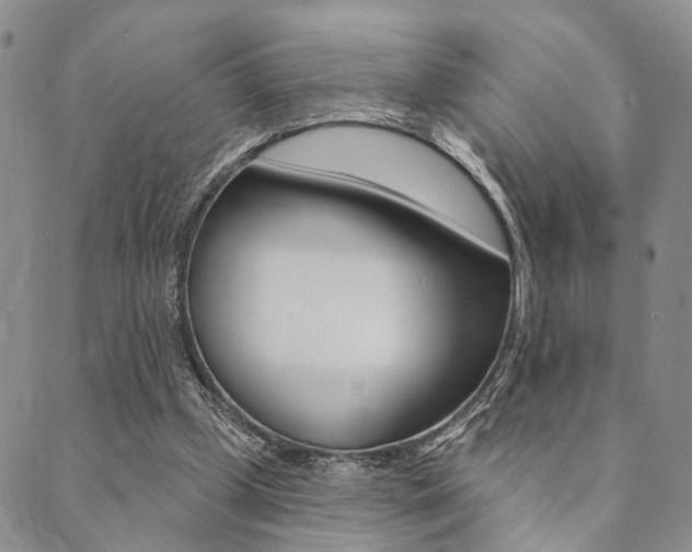 X0000089700249200706210858