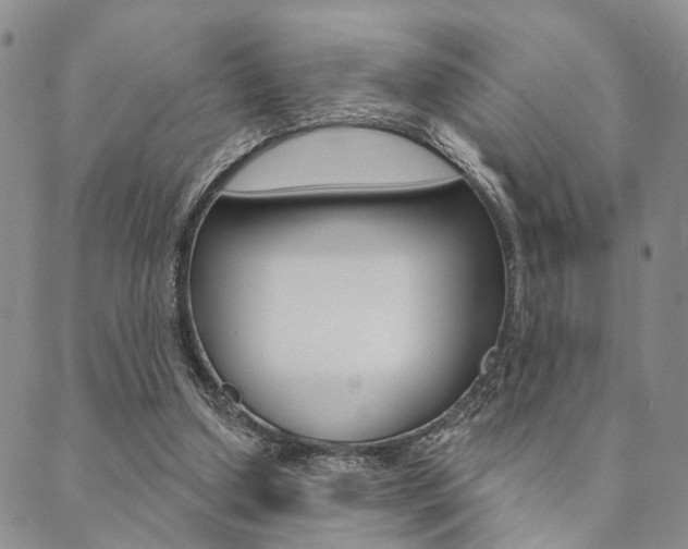 X0000089700250200706210858