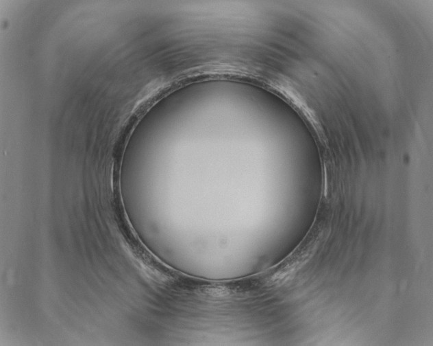 X0000089700253200706210858