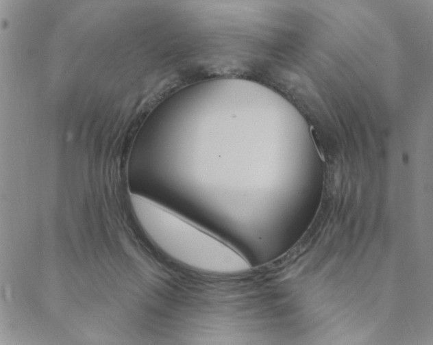 X0000089700263200706210858