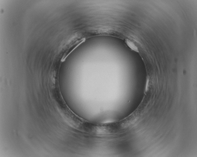 X0000089700264200706210858