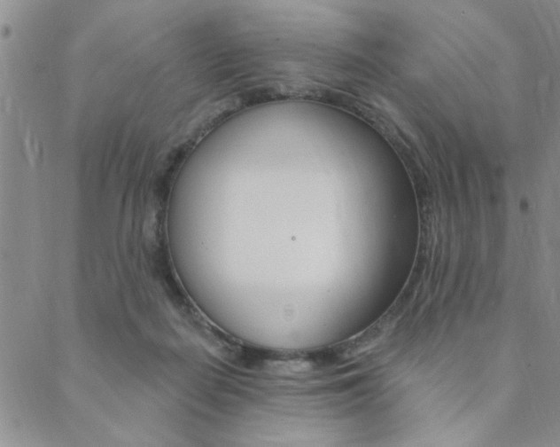 X0000089700266200706210858