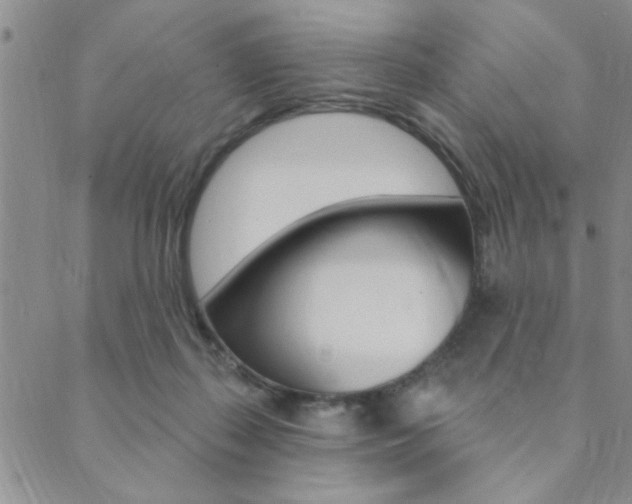 X0000089700267200706210858