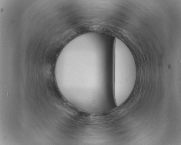 X0000089700270200706210858