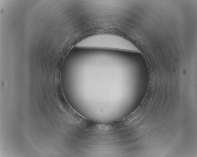 X0000089700272200706210858