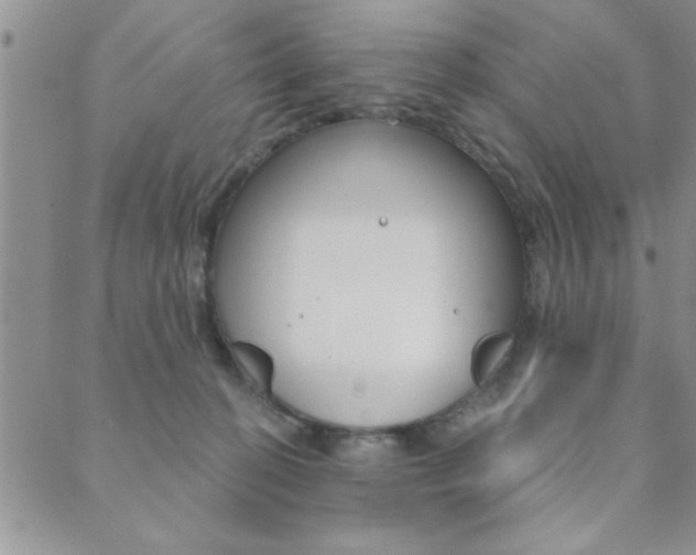 X0000089700274200706210858