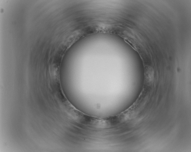 X0000089700276200706210858