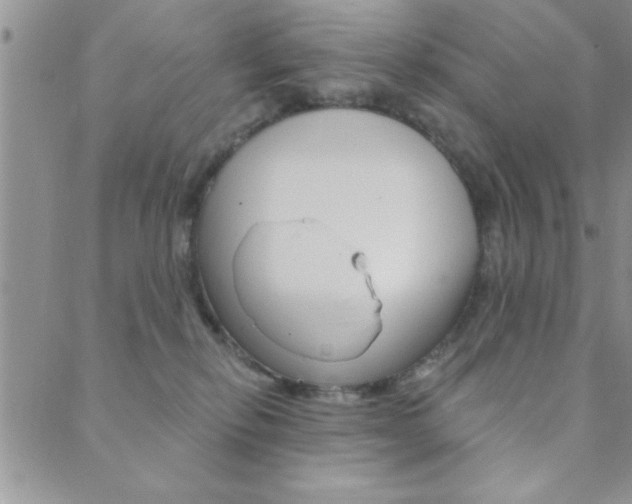 X0000089700278200706210858