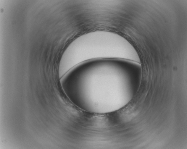 X0000089700280200706210858