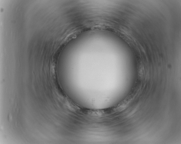 X0000089700282200706210858