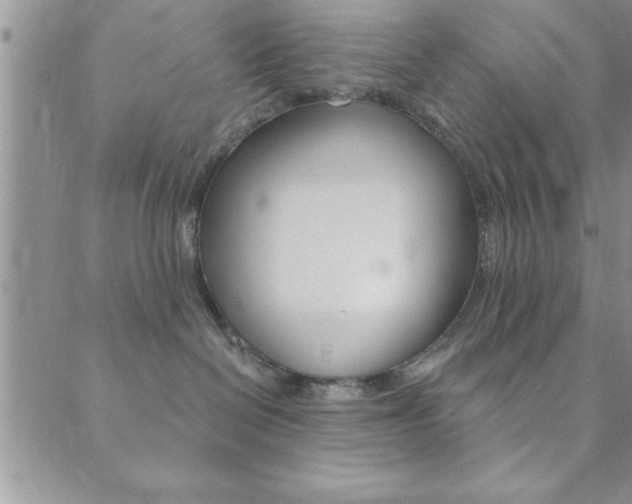 X0000089700286200706210858