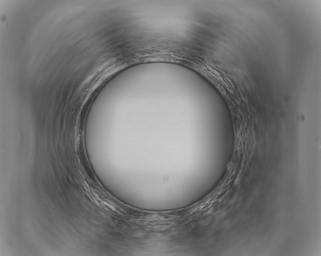 X0000089700290200706210858