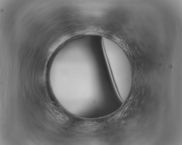 X0000089700292200706210858