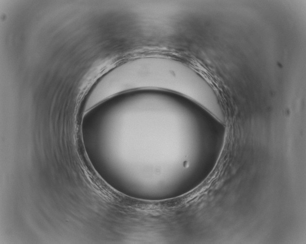 X0000089700293200706210858