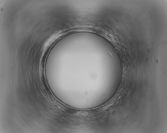 X0000089700294200706210858