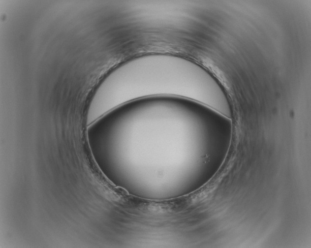 X0000089700305200706210857