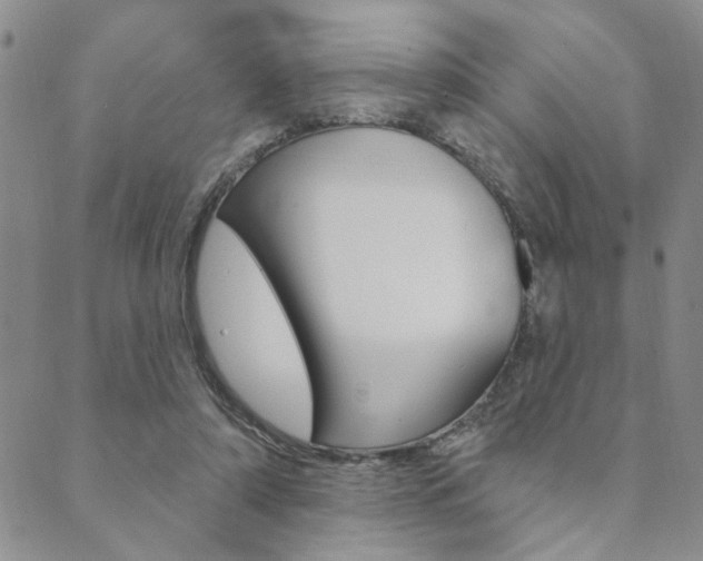 X0000089700306200706210857