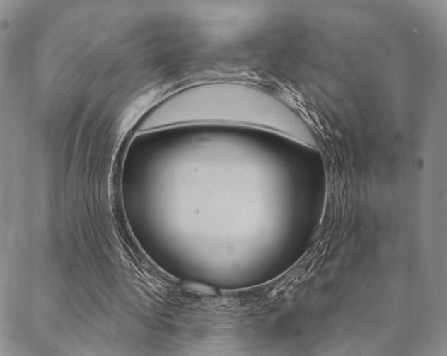 X0000089700340200706210856