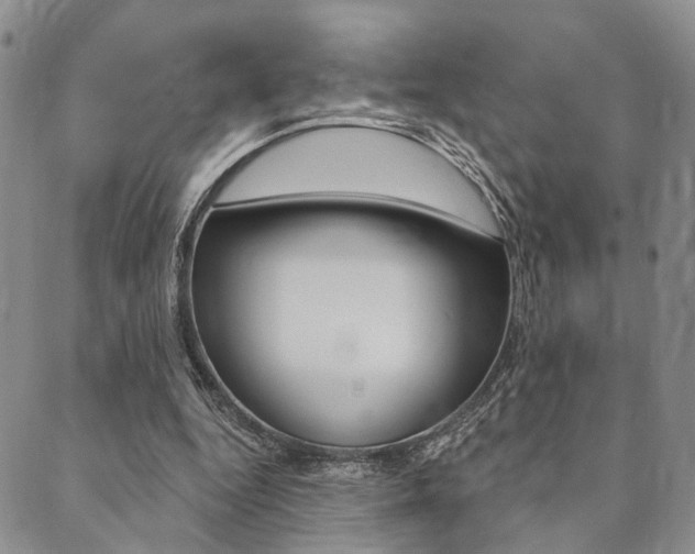 X0000089700344200706210856