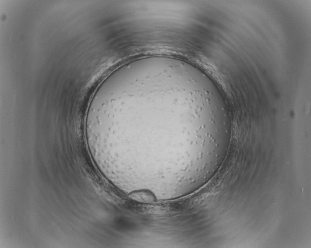 X0000089700347200706210856