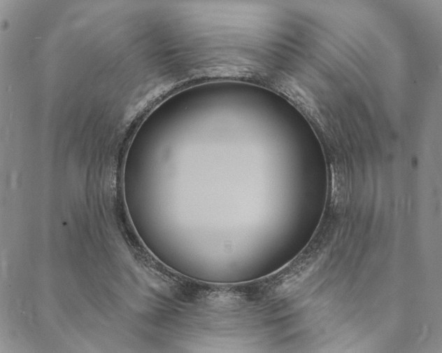 X0000089700348200706210856