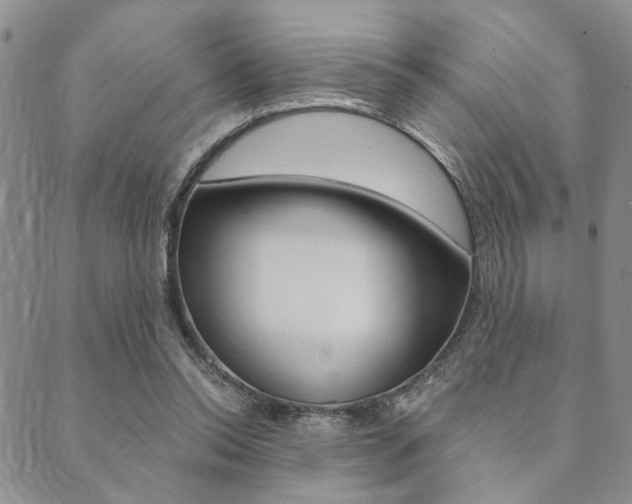 X0000089700350200706210856