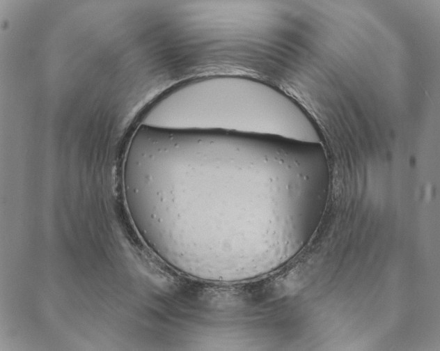 X0000089700351200706210856