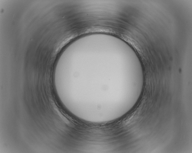 X0000089700352200706210856
