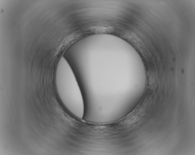 X0000089700357200706210856