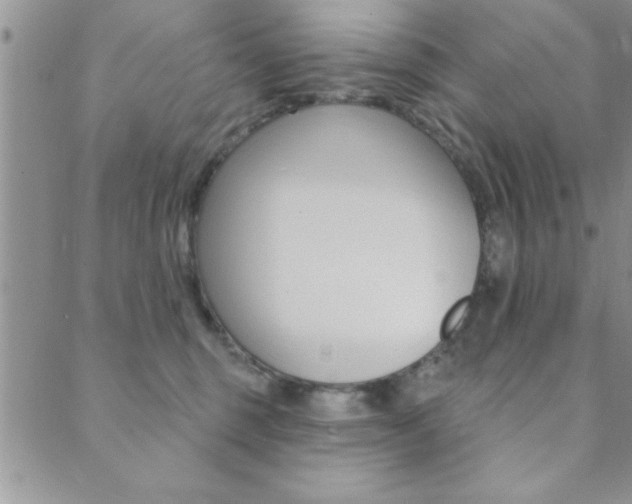 X0000089700375200706210857