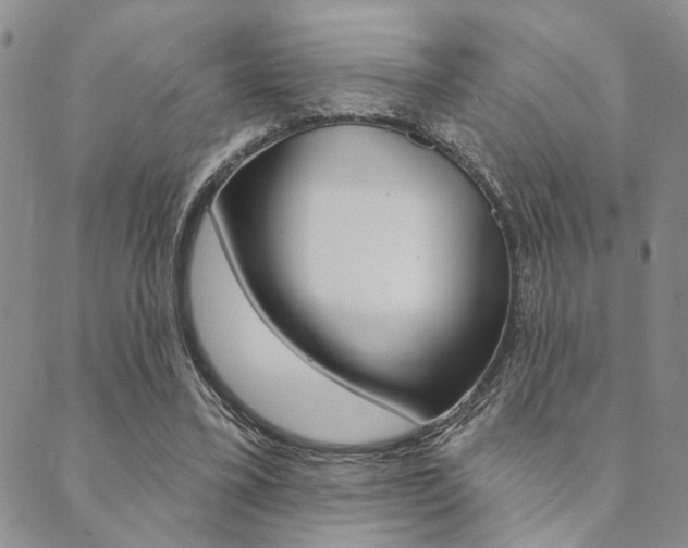 X0000089700395200706210856
