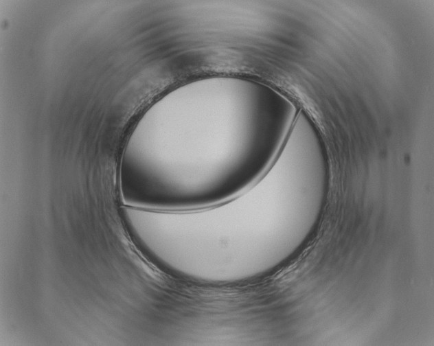 X0000089700397200706210856