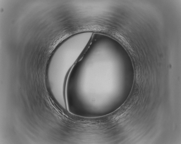 X0000089700434200706210855