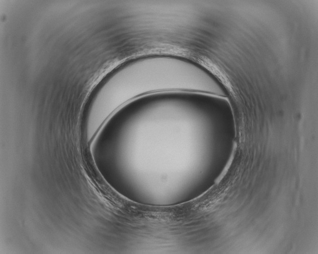 X0000089700436200706210855